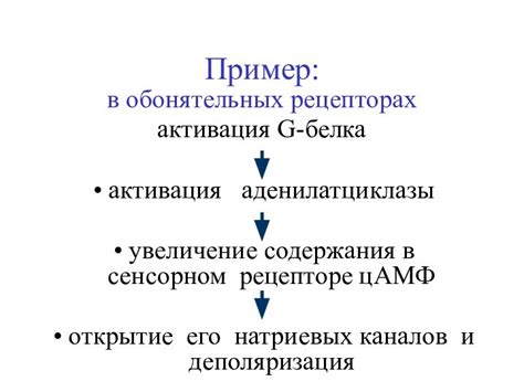 Физиологическая активация и стимуляция сенсорных систем