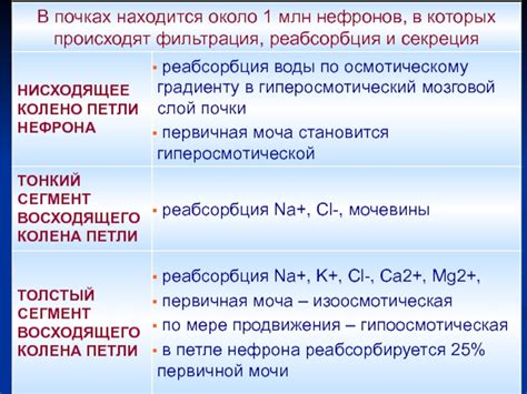 Физиологические аспекты, воздействующие на сновидения: понимание смысла падения в темень