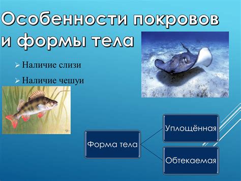 Физиологические аспекты сновидений в природной водной среде