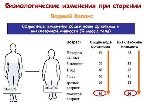 Физиологические изменения при сосредоточенной нагрузке