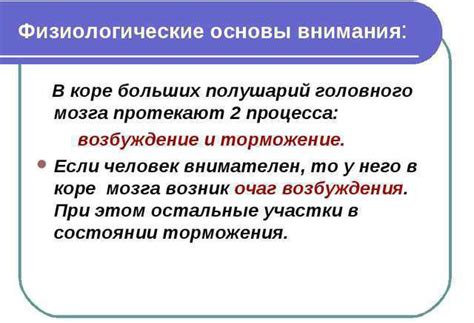 Физиологические механизмы, вызывающие повышенное потоотделение в ночное время