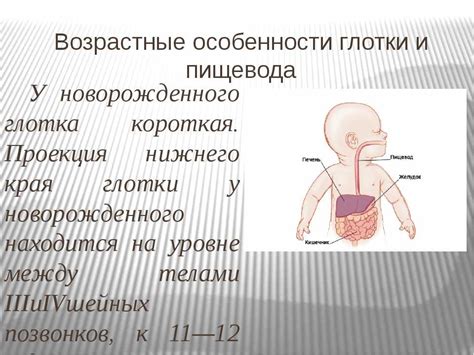 Физиологические особенности жеста "рука молящаяся"