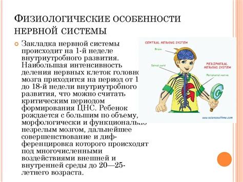 Физиологические особенности человека гомо