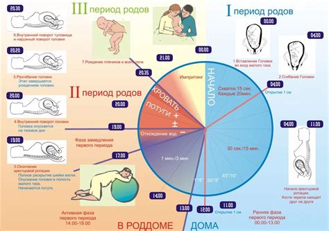 Физиологические признаки возбуждения родов