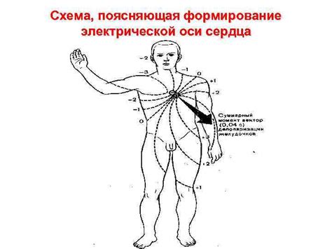 Физиологические проявления пылающего сердца