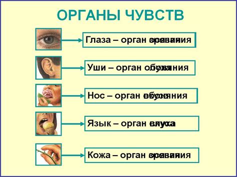 Физиологические проявления страстных чувств