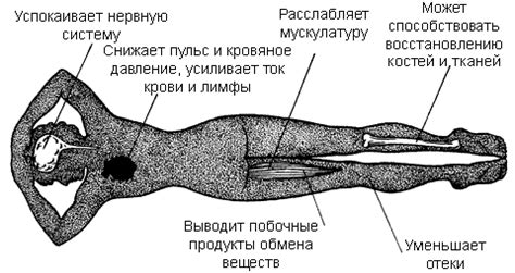 Физиологическое воздействие ласковых обниманий