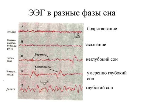 Физиологическое объяснение сна о поврежденном корневом зубе