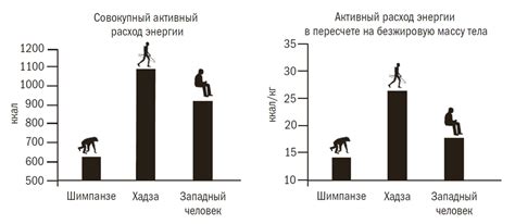 Физическая неактивность и малое количество движения