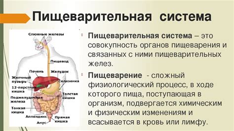 Физические изменения организма при старении