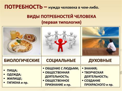 Физические особенности и потребности