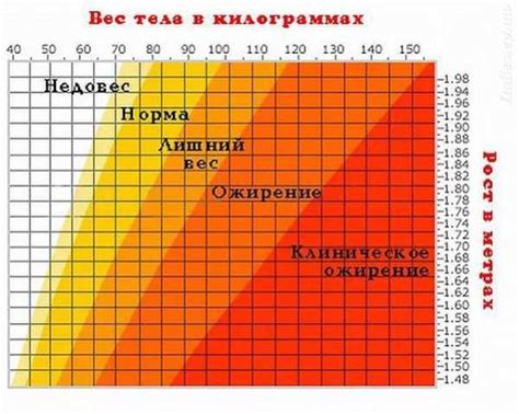 Физические признаки взрослого роста