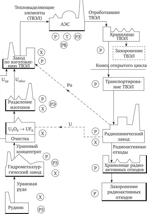 Физическое воздействие цикла: