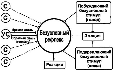 Философия: путь познания мира и своего места в нём