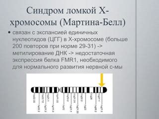 Фимбрии свободные: их роль в патогенезе заболеваний