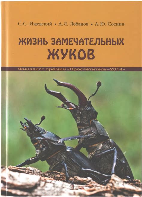 Финансовые перспективы: связь сна о насекомых на подушке