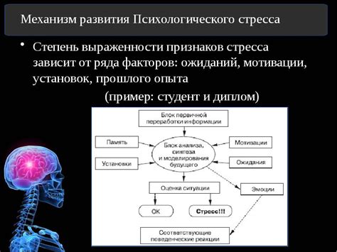 Финансовые сны: предзнаменование или проявление психологического стресса?