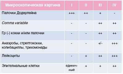 Флора вид мелкая палочка у женщин