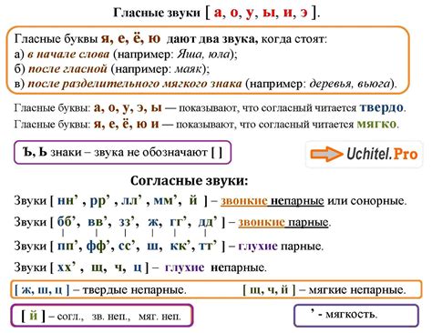 Фонетический анализ слова "конфесса"