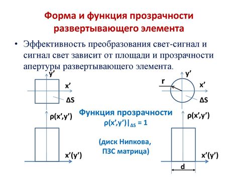 Форма и функция