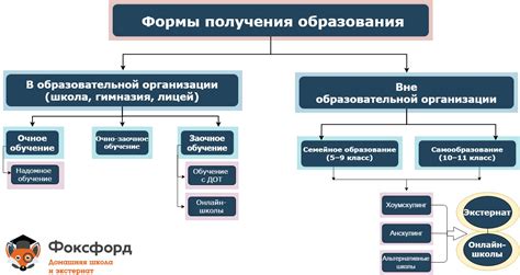 Форма обучения и уровень