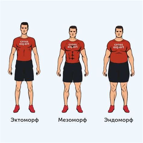 Форма тела и особенности фигуры у людей с левантийской внешностью