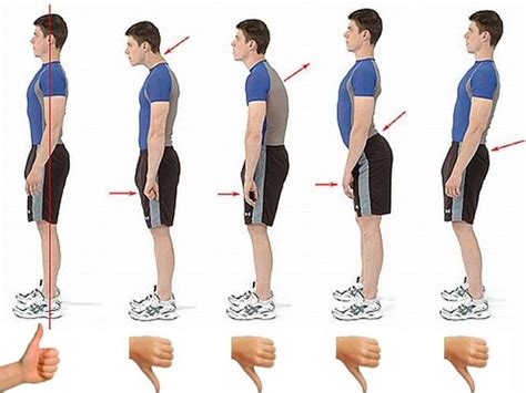Формирование правильной осанки