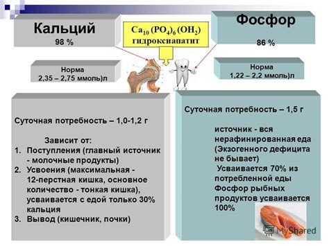 Фосфор и обмен веществ