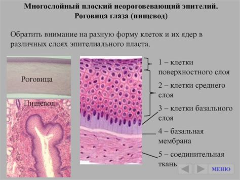 Фрагменты тел: что это такое?