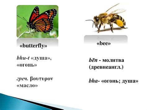 Фраза "третий день" в идиоматических выражениях и поговорках