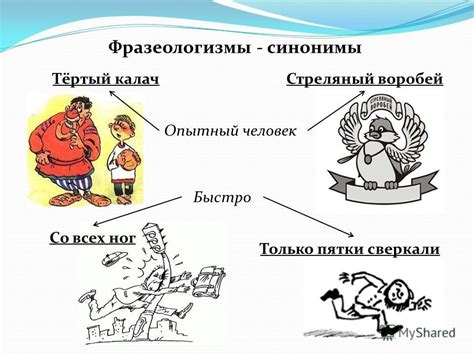 Фразеологизм "бобик сдох": общее понимание 