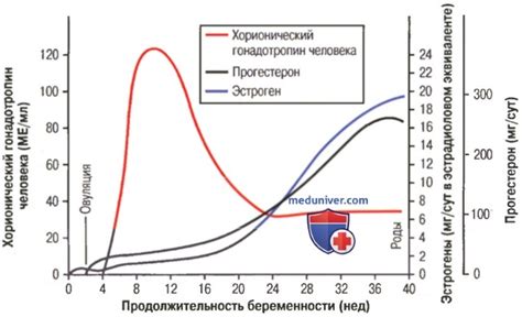 Функции Хгч 472