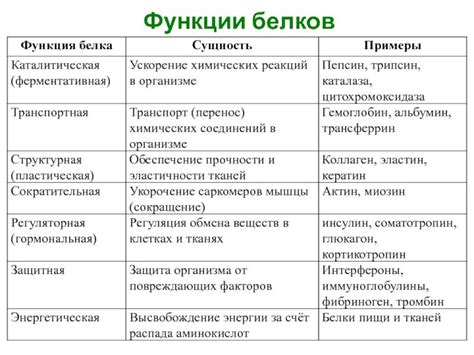 Функции белков в клетке