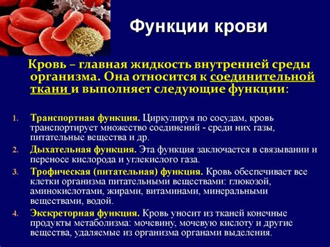 Функции гистаминов в организме