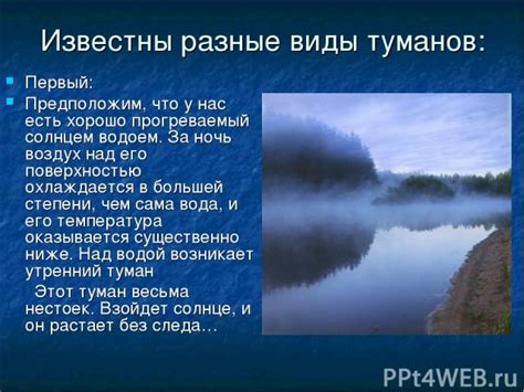 Функции и значение туманов над реками в экологических системах