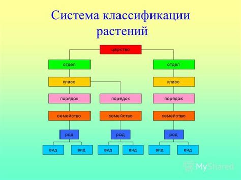 Функции классификации растений