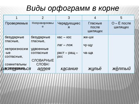 Функции орфограмм в тексте