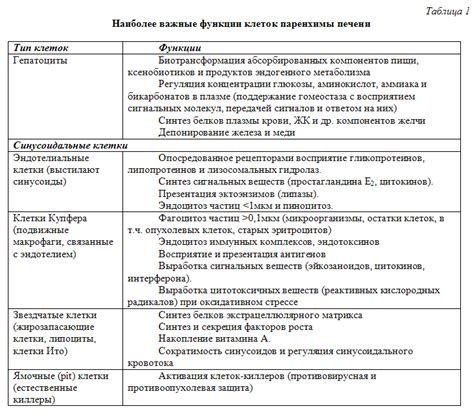 Функции паренхимы