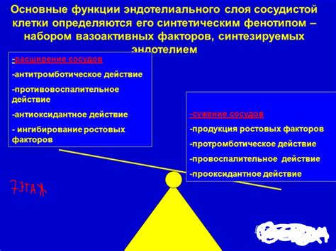 Функции сосудистого компонента