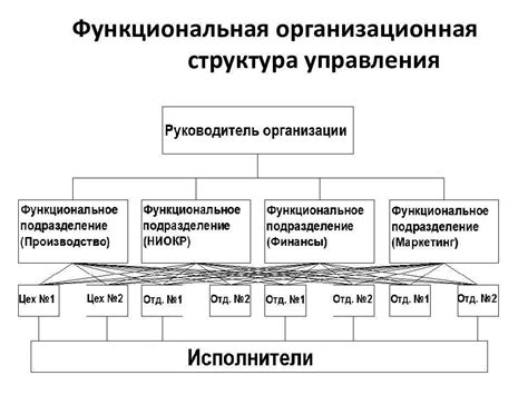 Функциональная принадлежность: определение, характеристики и примеры использования