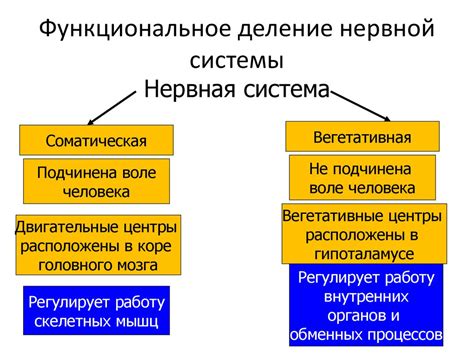 Функциональное значение свайпа