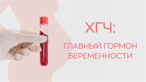 ХГЧ укол: гормон беременности