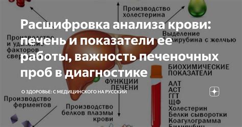 ХГЧ 412: важность в диагностике