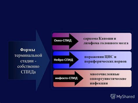 Характеристика терминальной стадии ВИЧ