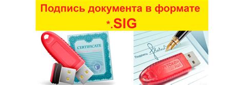 Характеристики и особенности формата SIG