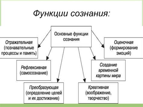 Характеристики лестного человека