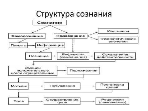 Характеристики промежуточного человека