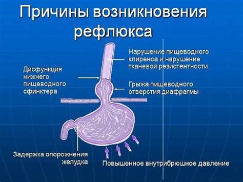 Характерные симптомы гипотонуса кардиального жома