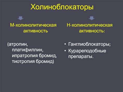 Холинолитическая активность: общая характеристика и применение