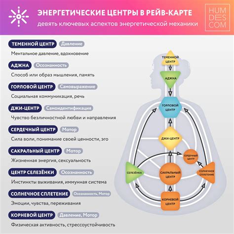 Хьюман: определение, смысл и значение